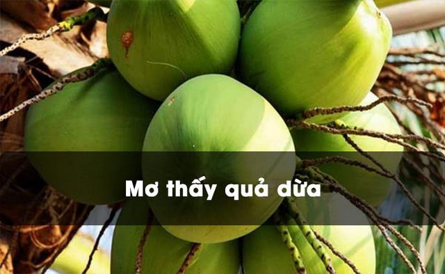Gợi ý thông điệp qua giấc mơ thấy trái dừa